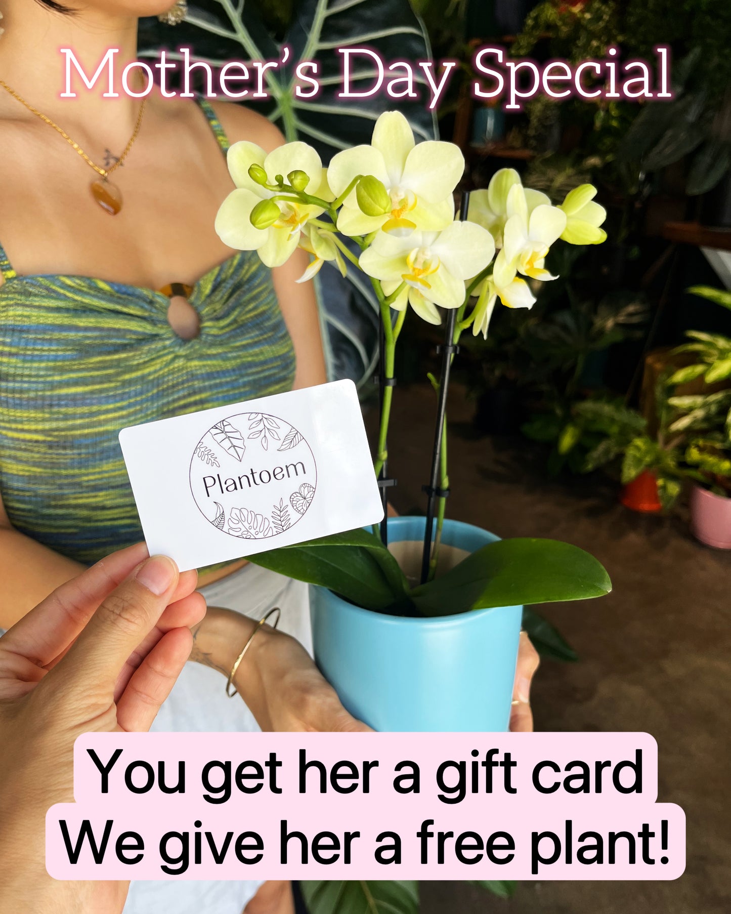 Mother’s Day Special - $100 gift + Free Plant!