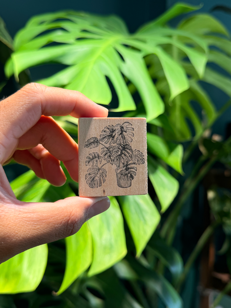 Monstera Wooden Stamp