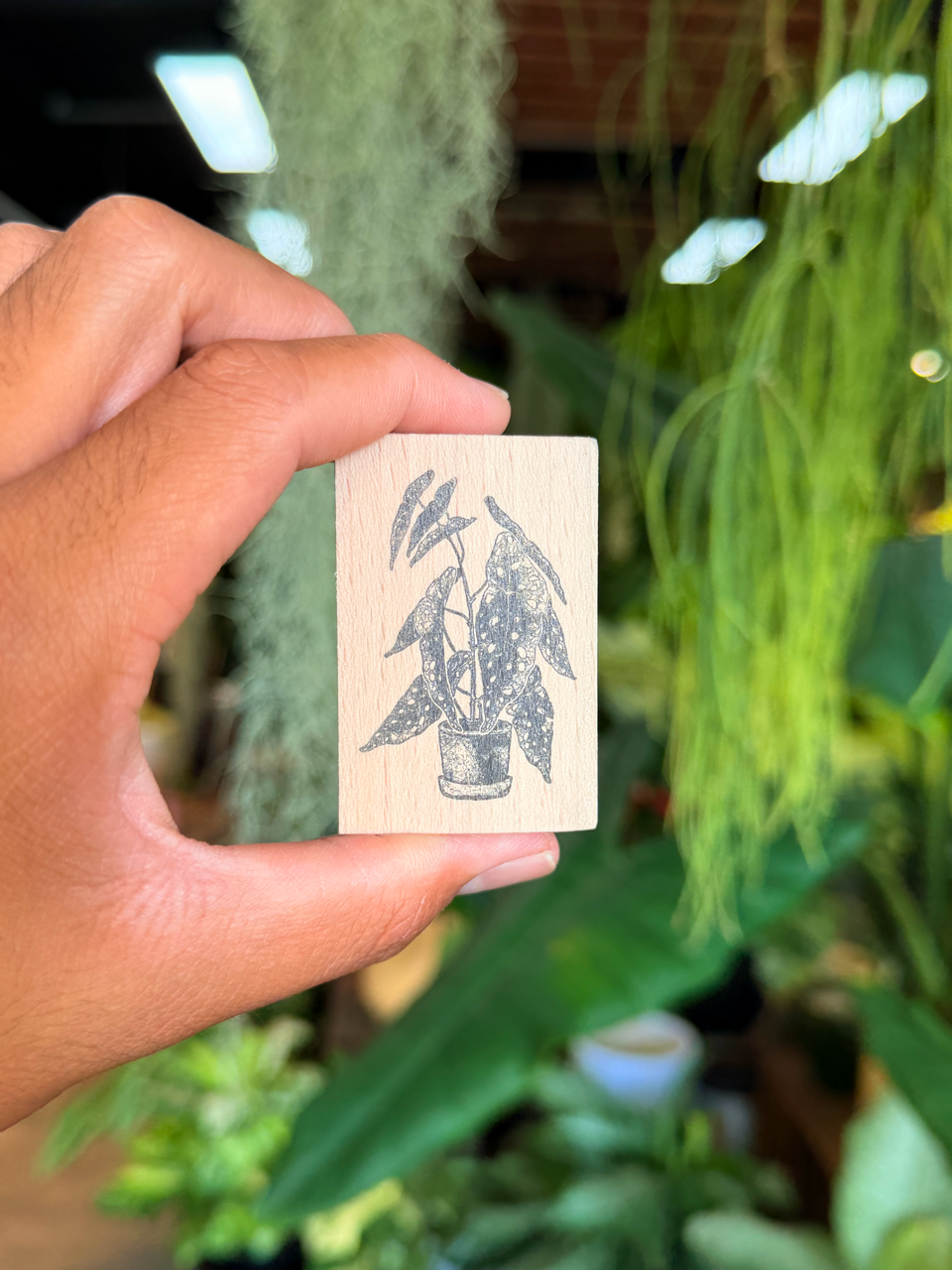 Begonia Wooden Stamp