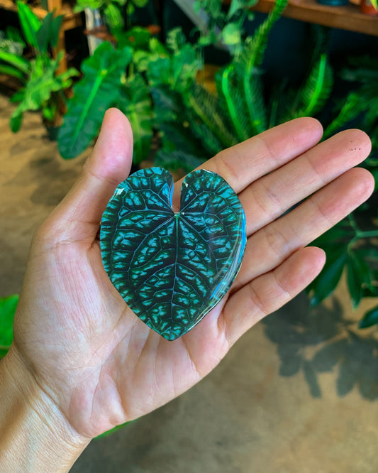 Anthurium Luxurian Leaf Pop Socket for Phones