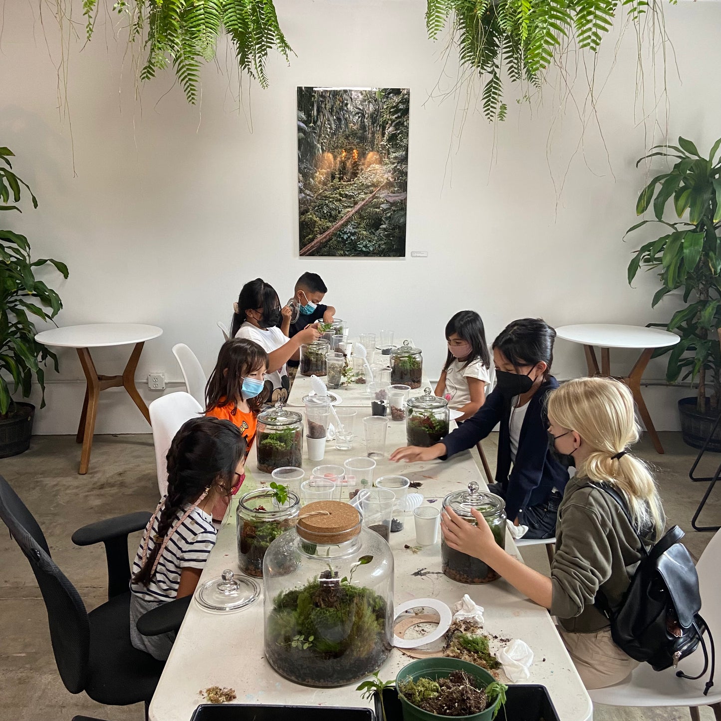 July 9th Terrarium Workshop for kids.