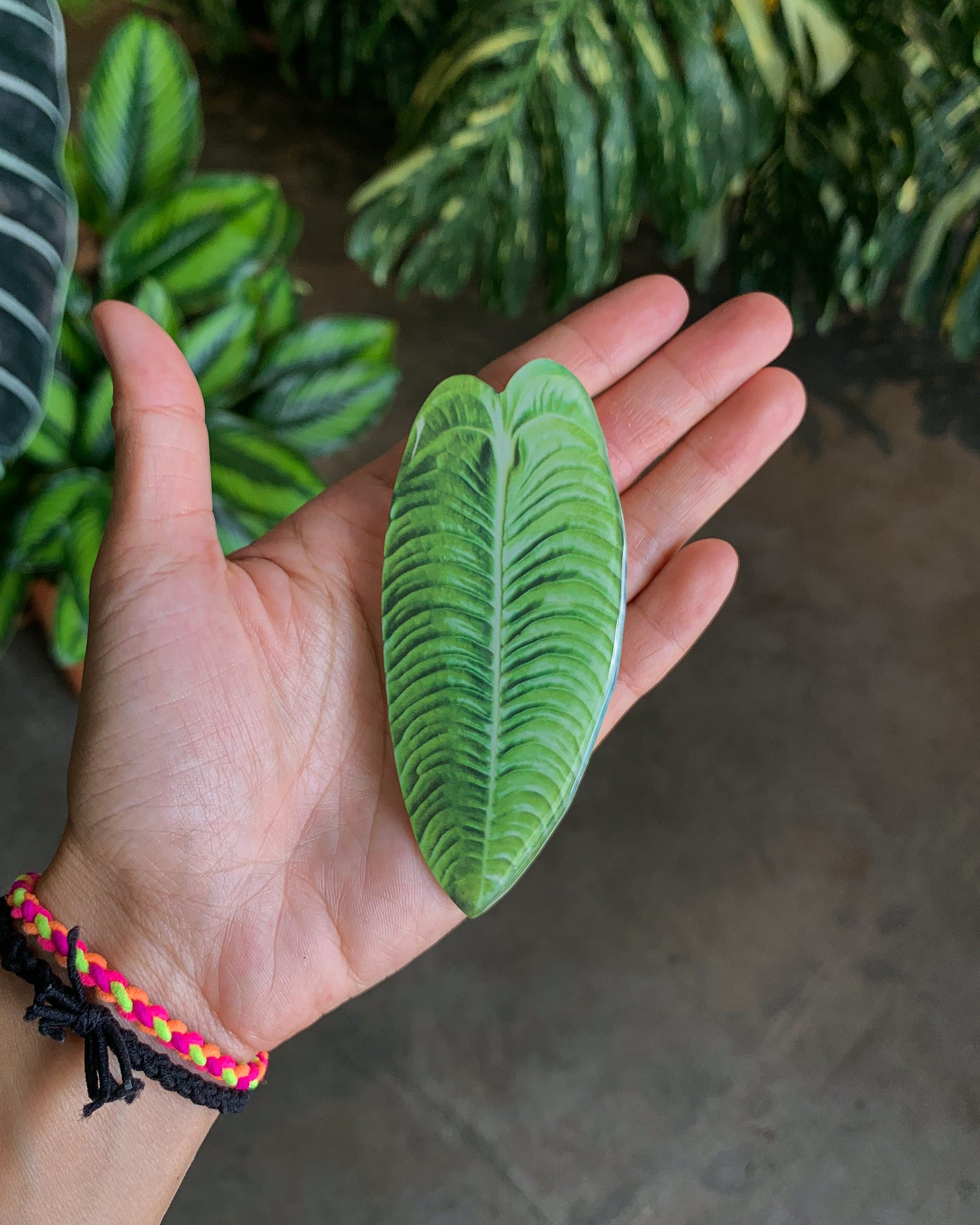 Anthurium King Veitchii Leaf Pop Sockets for phones