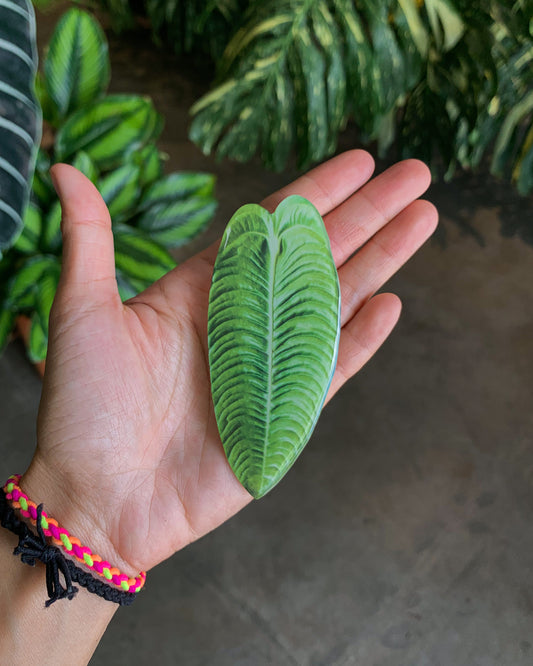 Anthurium King Veitchii Leaf Pop Sockets for phones