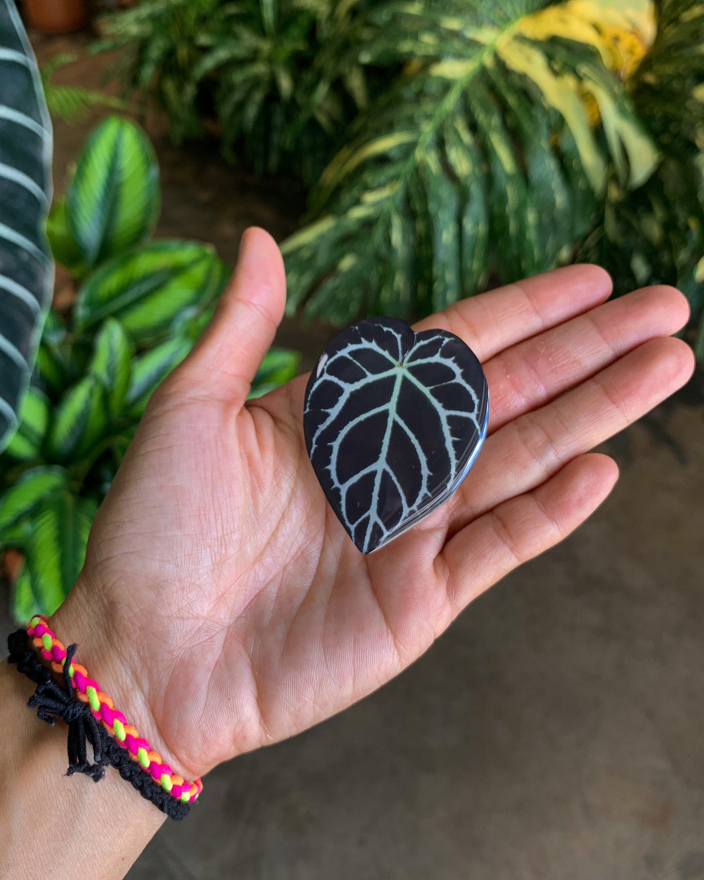 Anthurium Crystallinum Leaf Pop Sockets for phones