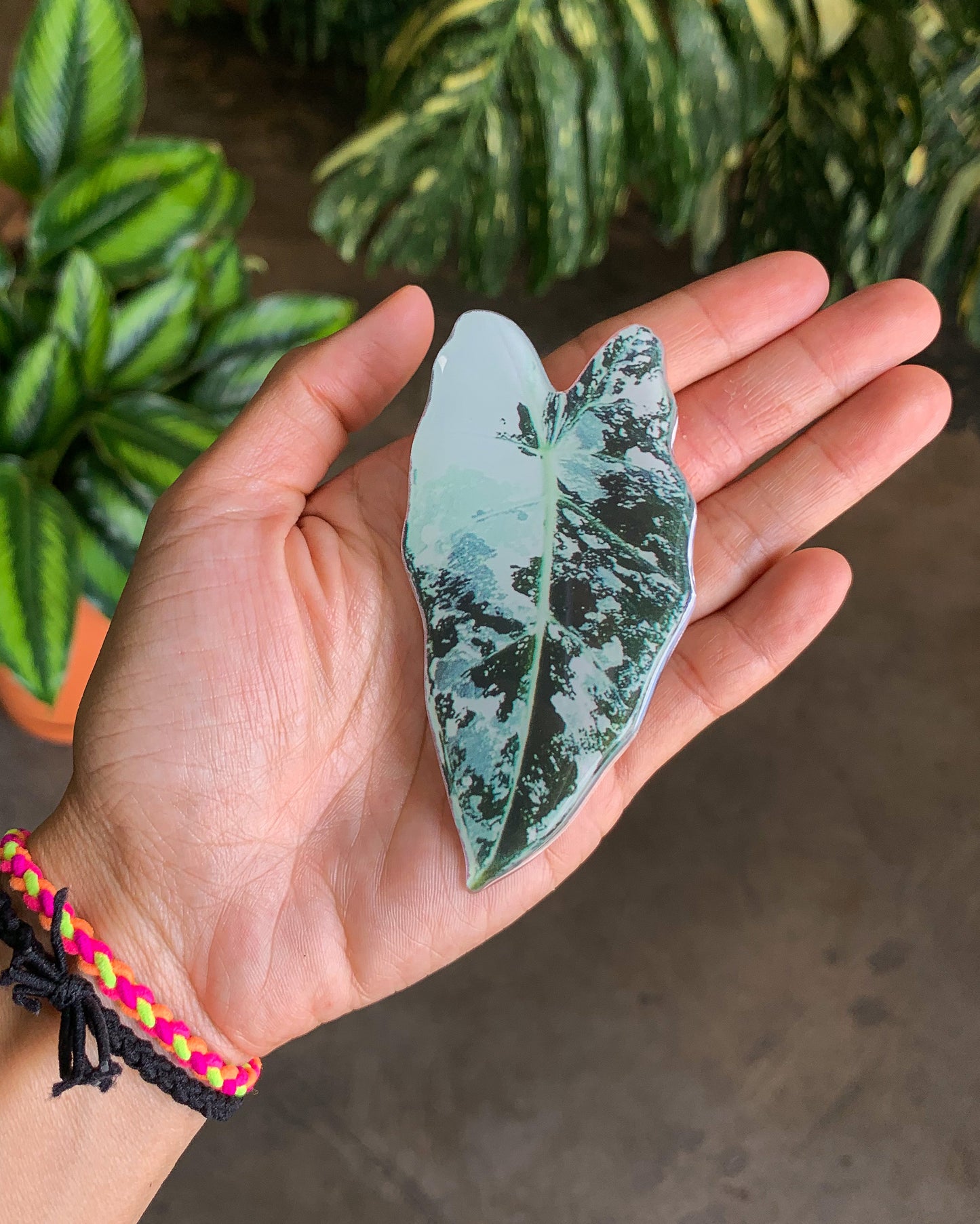 V. Frydek Leaf Pop Sockets for phones