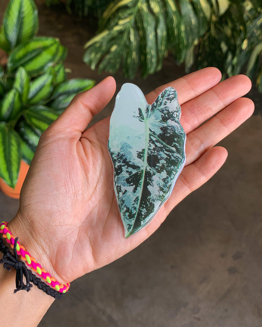 V. Frydek Leaf Pop Sockets for phones