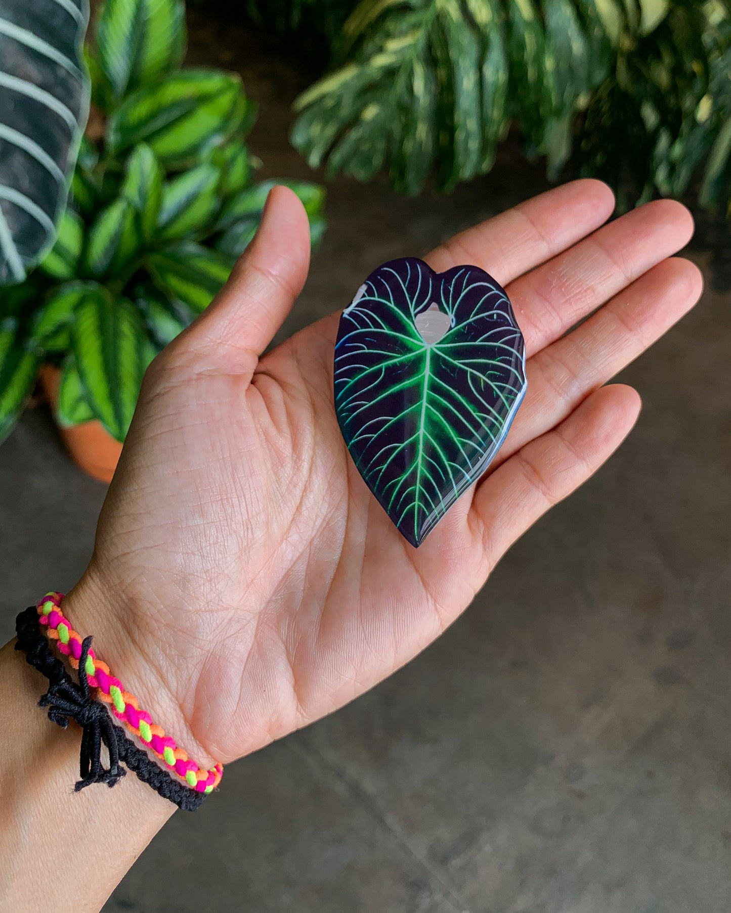 Anthurium Regale Leaf Pop Sockets for phones