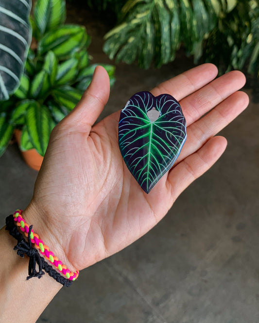 Anthurium Regale Leaf Pop Sockets for phones