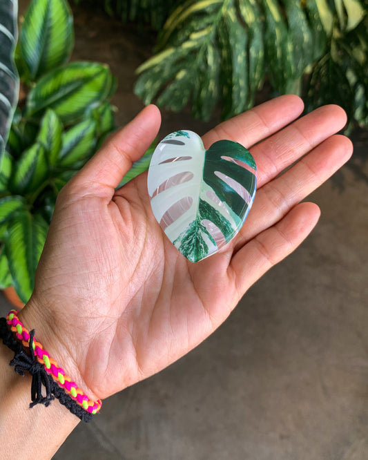 Albo Monstera Leaf Pop Sockets for phones