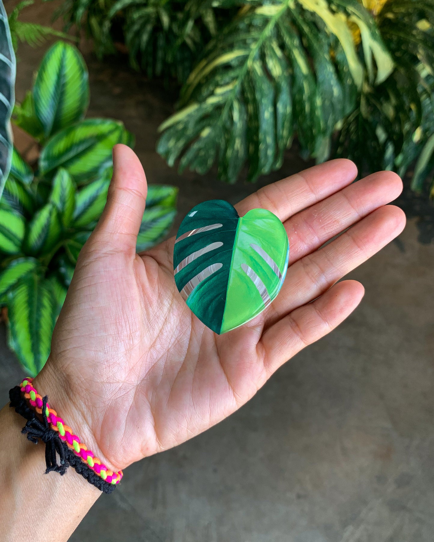 Half Moon Aurea Monstera Leaf Pop Sockets for phones