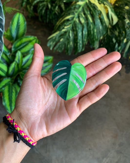 Half Moon Aurea Monstera Leaf Pop Sockets for phones