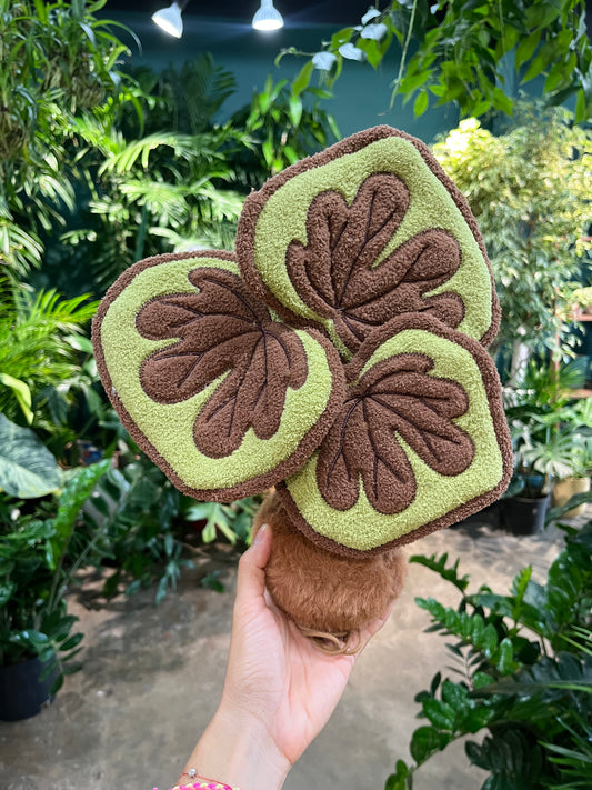 Rex Begonia Plushie