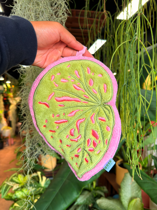 Begonia Hand Towel