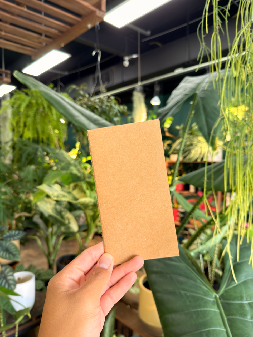 Brown Notebook