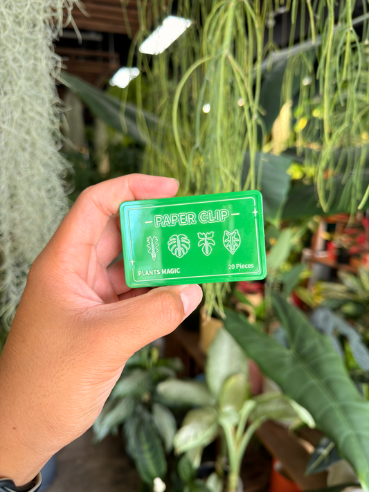 Plant Paper Clips