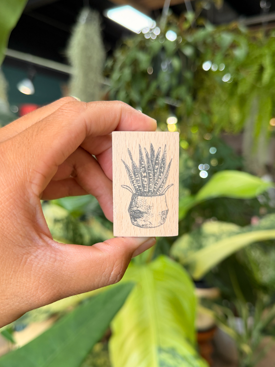 Succulent Wooden Stamp