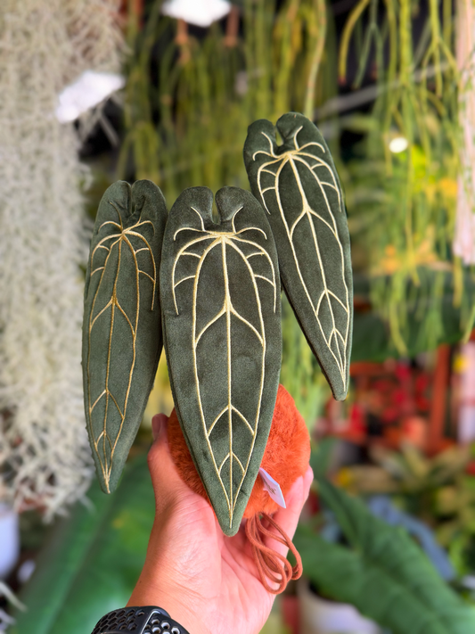 Queen Anthurium Plushie