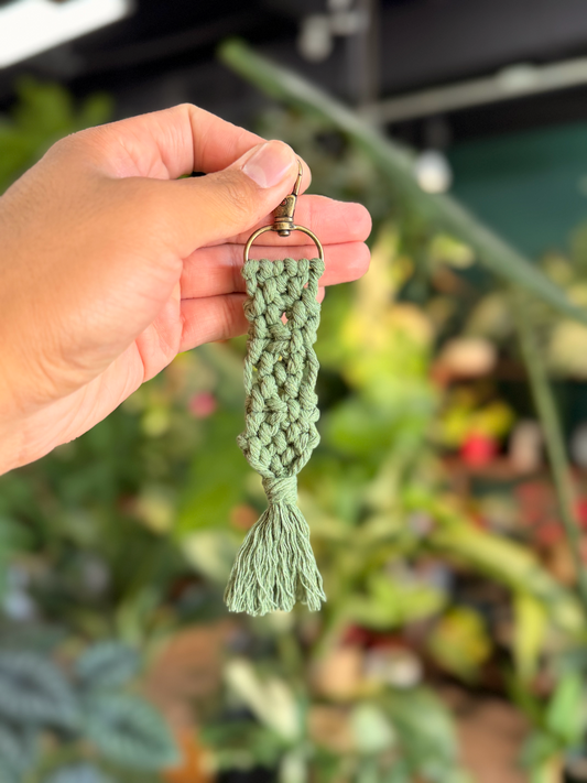 Small Sage Green Macrame Key Chain