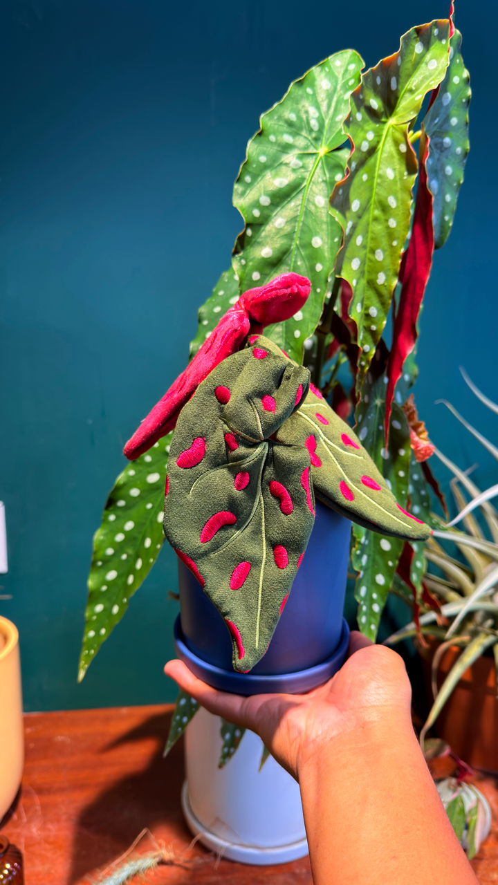 Angel Wing Begonia Plushie