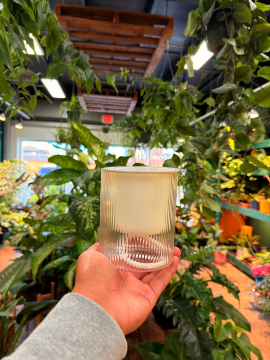 Self Watering Pot *4 inch.*