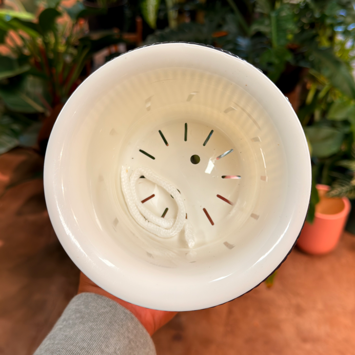 Self Watering Pot *6 inch.*