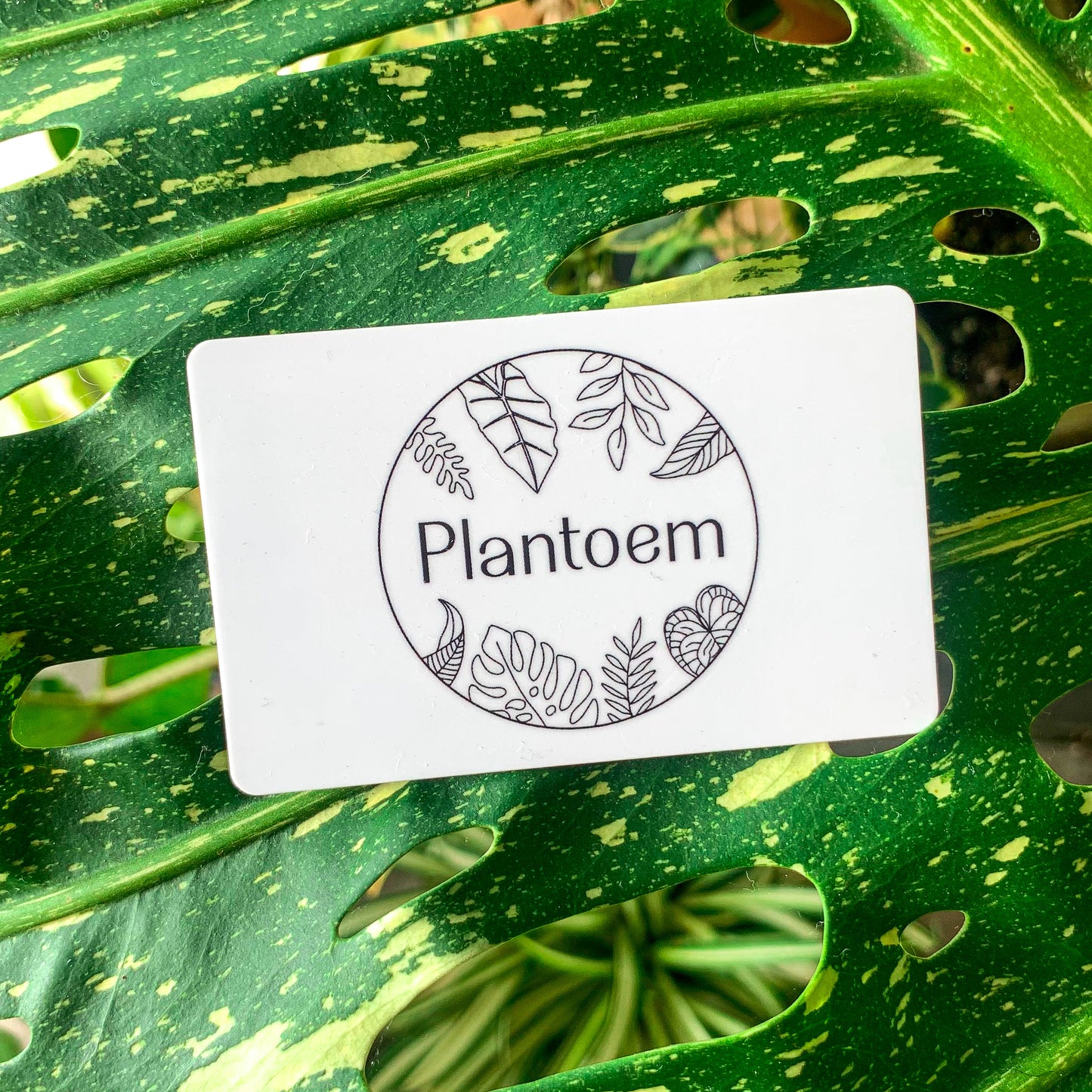 Plantoem Gift Card